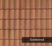 Goldenrod.jpg