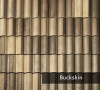 Buckskin.jpg
