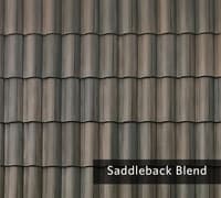 Saddleback.jpg