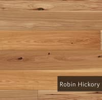 RobinHickorty.jpg