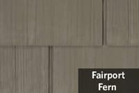 FairportFern.jpg