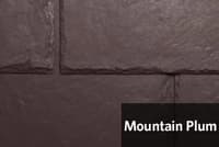 Mountain Plum.jpg