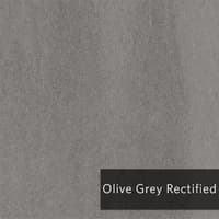 OliveGreyRectified.jpg