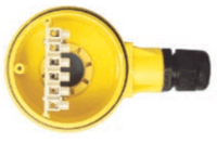 Flowline Level Switch with Compact Junction Box, Float-Point AVX6