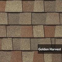 Golden Harvest.jpg
