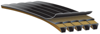 predatorpowerbandv-belt-1-ang-r.png