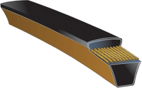 predatorv-belt-1-ang-r.png