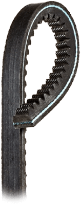 classicalsectionmoldednotchaxv-belt-1-top-r.png