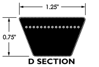 D SECTION.png