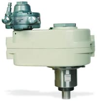 In-Drum Back-Geared Agitator