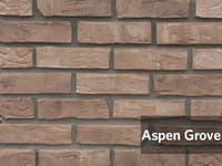 Aspen Grove.jpg