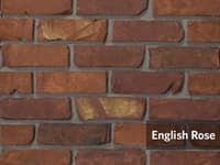 English Rose.jpg