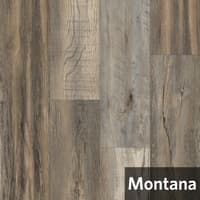 Montana.jpg