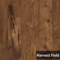 Harvest Field.jpg