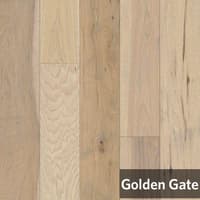 GoldenGateHickory.jpg