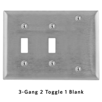 3-Gang 2 Toggle 1 Blank.png