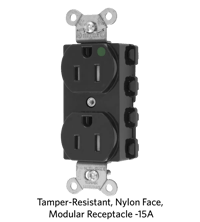 Tamper-Resistant, Smooth Nylon Face, Modular Receptacle - 15A.png