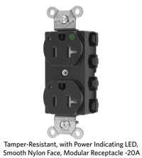 Tamper-Resistant, with Power Indicating LED, Smooth Nylon Face, Modular Receptacle -20A.png