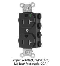Tamper-Resistant, Smooth Nylon Face, Modular Receptacle - 20A.png