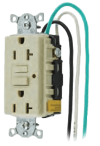 ivory20.png