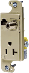 ivory20.png