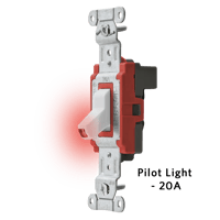 Pilot Light 20A.png