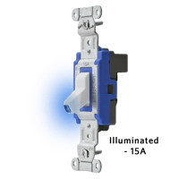 Illuminated 15A.png