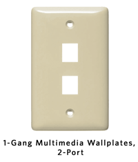 1-Gang 2-Port.png