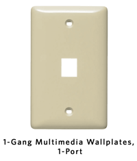 1-Gang 1-Port.png