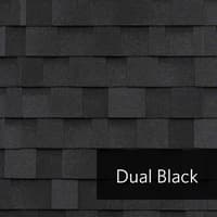DualBlack.jpg