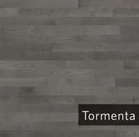 Tormenta.jpg