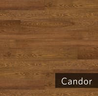 Candor.jpg