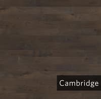 Cambridge.jpg