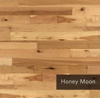 HoneyMOon.jpg