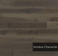 SombraCharacter.jpg