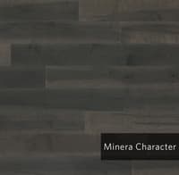 MineraCharcter.jpg