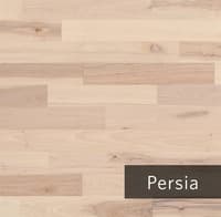 Persia.jpg