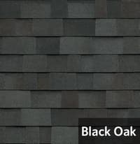 Black Oak.jpg