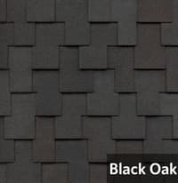 Black Oak.jpg