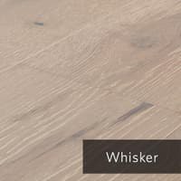 Whisker.jpg