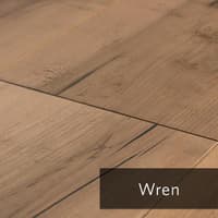 Wren.jpg