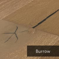 Burrow.jpg