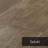 Saluki.jpg