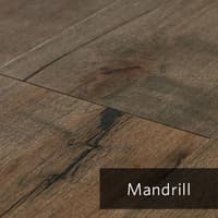 Mandrill.jpg