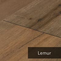 Lemur.jpg