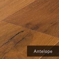 Antelope.jpg
