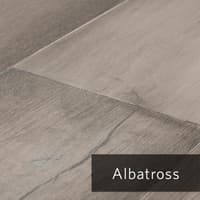 Albatros.jpg