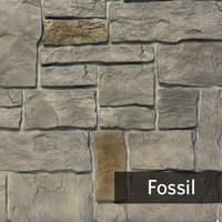 Fossil.jpg