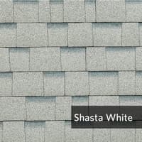 ShastaWhite.jpg