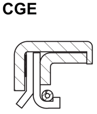 CGE.png